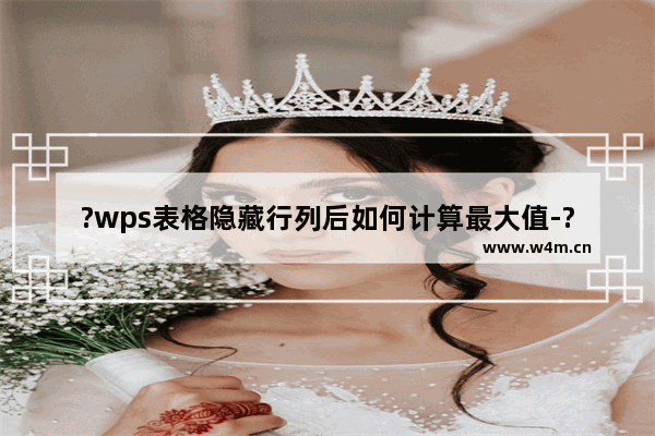 ?wps表格隐藏行列后如何计算最大值-?wps表格隐藏行列后计算最大值的方法