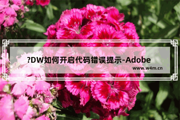 ?DW如何开启代码错误提示-Adobe Dreamweaver打开提示错误的方法教程