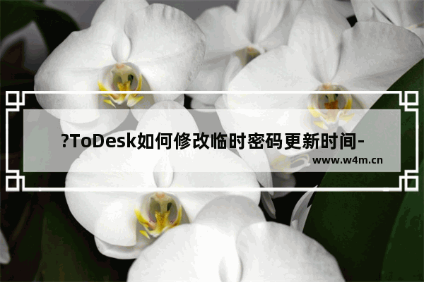 ?ToDesk如何修改临时密码更新时间-ToDesk调整临时密码更新频率为12小时的方法教程