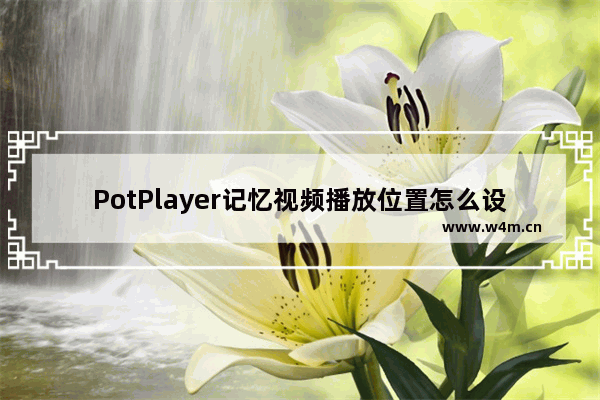 PotPlayer记忆视频播放位置怎么设置-PotPlayer记忆视频播放位置的方法