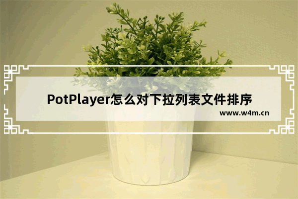 PotPlayer怎么对下拉列表文件排序-PotPlayer对下拉列表文件排序的方法