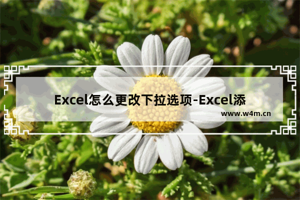 Excel怎么更改下拉选项-Excel添加下拉选项内容的方法