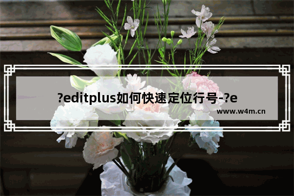 ?editplus如何快速定位行号-?editplus转到指定行的方法