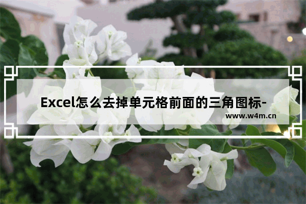 Excel怎么去掉单元格前面的三角图标-Excel去除错误提示的方法