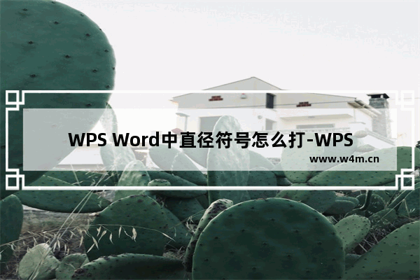 WPS Word中直径符号怎么打-WPS Word中添加直径符号的方法