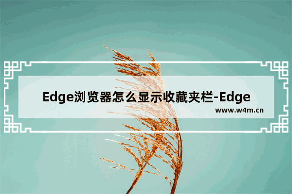 Edge浏览器怎么显示收藏夹栏-Edge浏览器显示收藏夹栏的方法