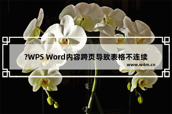 ?WPS Word内容跨页导致表格不连续怎么办-WPS文档解决表格不连贯自动跑到下一页的方法教程