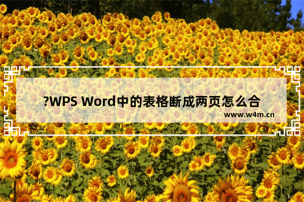 ?WPS Word中的表格断成两页怎么合并-WPS文档将断开的表格合并的方法教程