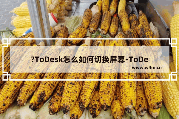 ?ToDesk怎么如何切换屏幕-ToDesk中切换屏幕的方法教程