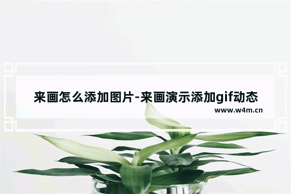 来画怎么添加图片-来画演示添加gif动态图片的方法