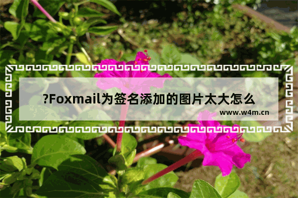 ?Foxmail为签名添加的图片太大怎么调整-Foxmail邮箱调整签名中图片大小的方法教程