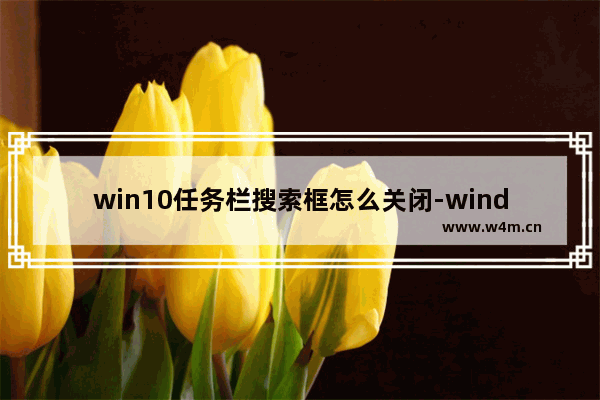 win10任务栏搜索框怎么关闭-windows10隐藏任务栏搜索框的方法