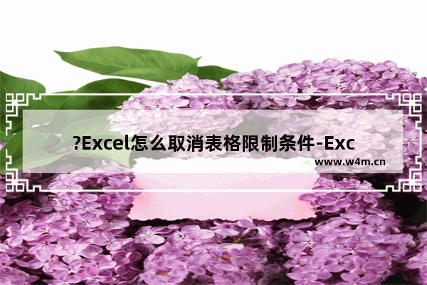 ?Excel怎么取消表格限制条件-Excel表格解除限定输入的方法教程