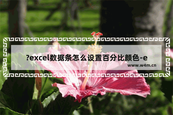 ?excel数据条怎么设置百分比颜色-excel设置数据条的方法