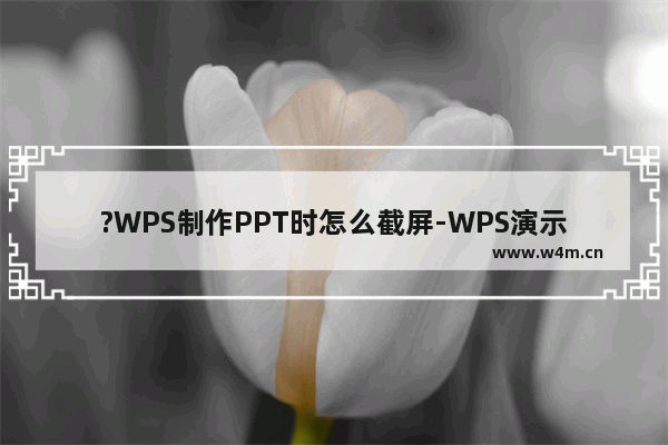 ?WPS制作PPT时怎么截屏-WPS演示文稿中进行截图操作的方法教程