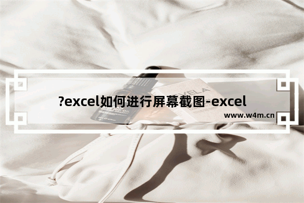 ?excel如何进行屏幕截图-excel插入屏幕截图的方法