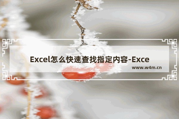 Excel怎么快速查找指定内容-Excel快速查找指定内容的方法