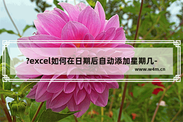 ?excel如何在日期后自动添加星期几-excel设置日期含有星期的方法