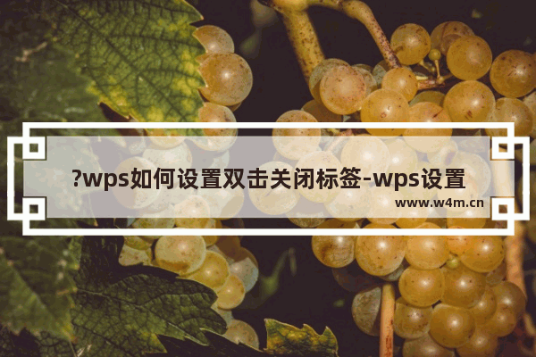 ?wps如何设置双击关闭标签-wps设置鼠标双击关闭文件窗口的方法