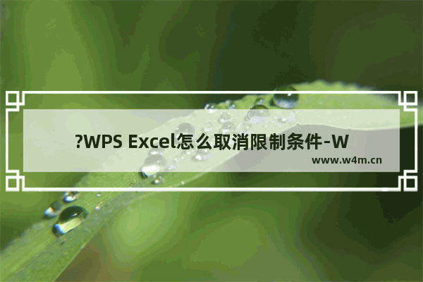 ?WPS Excel怎么取消限制条件-WPS表格解除限制输入内容的方法教程