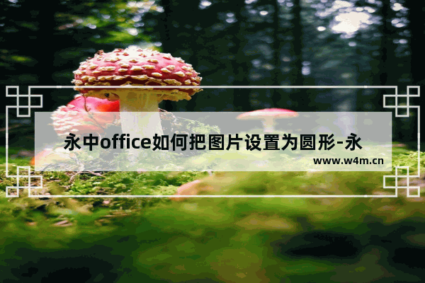 永中office如何把图片设置为圆形-永中office把图片设置为圆形的方法