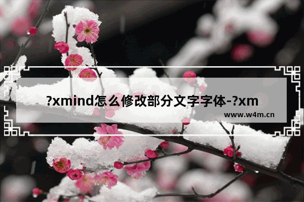 ?xmind怎么修改部分文字字体-?xmind修改部分文字字体的方法