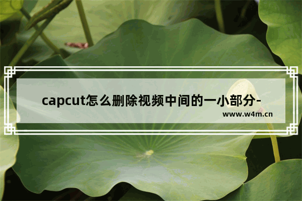 capcut怎么删除视频中间的一小部分-capcut国际版剪辑视频片段的方法