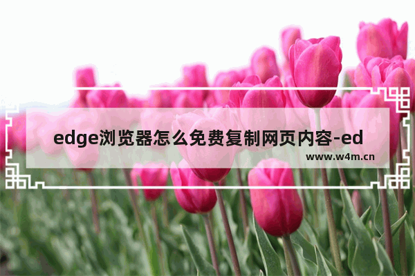 edge浏览器怎么免费复制网页内容-edge浏览器安装SuperCopy超级复制插件的的方法