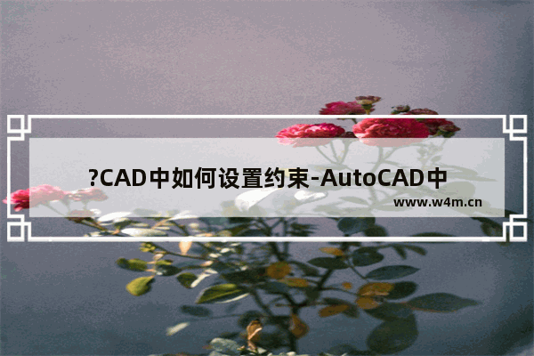 ?CAD中如何设置约束-AutoCAD中将两个圆约束为同心圆的方法教程