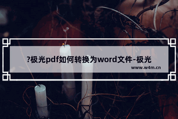 ?极光pdf如何转换为word文件-极光pdf转换为word的方法