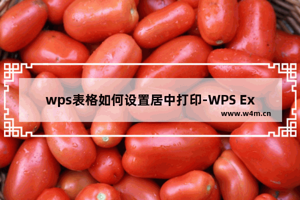 wps表格如何设置居中打印-WPS Excel表格设置居中打印的方法