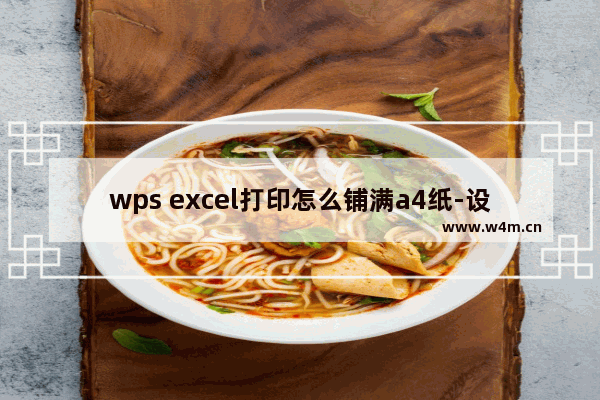 wps excel打印怎么铺满a4纸-设置wps表格打印铺满a4纸的方法