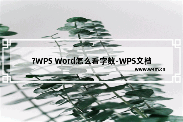 ?WPS Word怎么看字数-WPS文档中调出字数栏查看统计信息的方法教程