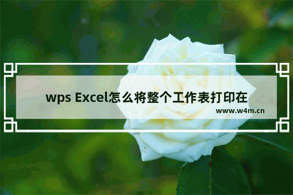 wps Excel怎么将整个工作表打印在一页-wps Excel将整个工作表打印在一页的方法