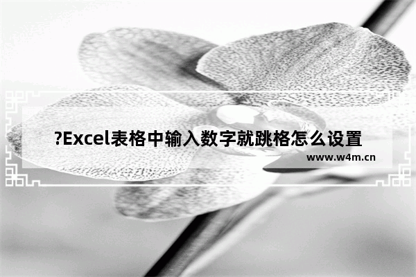 ?Excel表格中输入数字就跳格怎么设置-Excel表格中设置按下enter键向右移动的方法教程