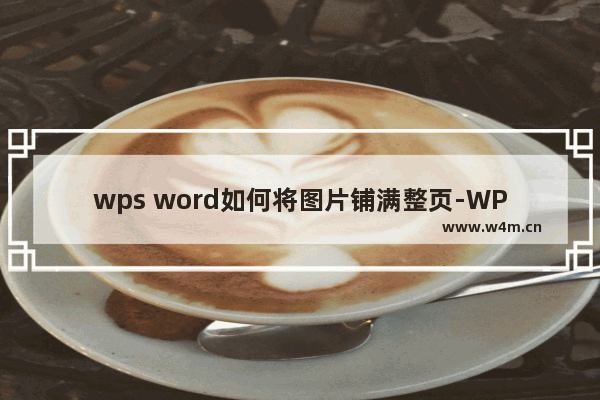 wps word如何将图片铺满整页-WPS word将图片铺满整个页面的方法