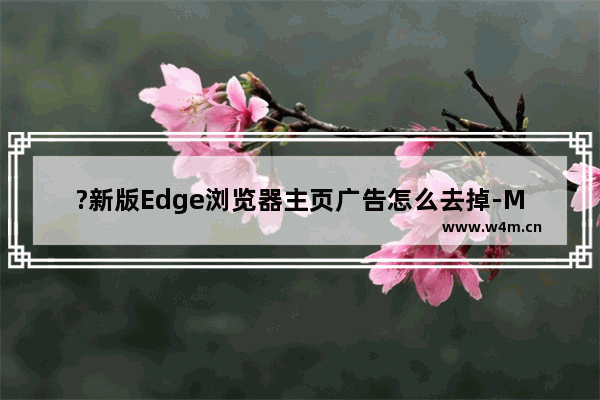 ?新版Edge浏览器主页广告怎么去掉-Microsoft edge浏览器关闭主页广告的方法教程