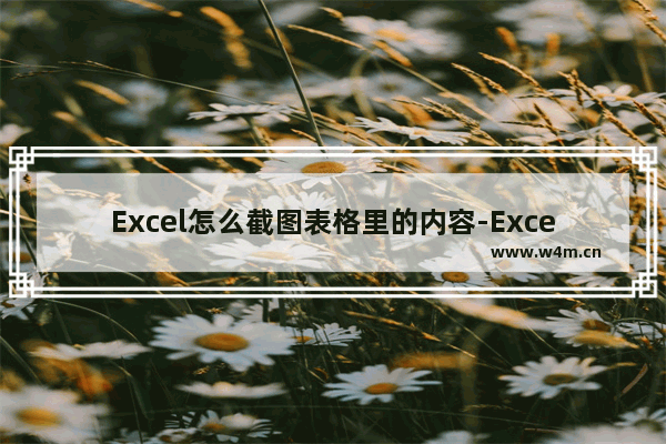 Excel怎么截图表格里的内容-Excel截图表格里的内容的方法