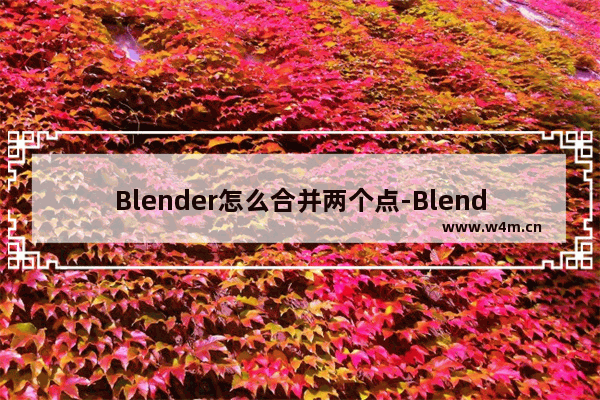 Blender怎么合并两个点-Blender合并两个点的方法