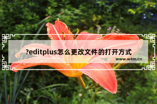 ?editplus怎么更改文件的打开方式-?editplus调整文件打开方式的方法