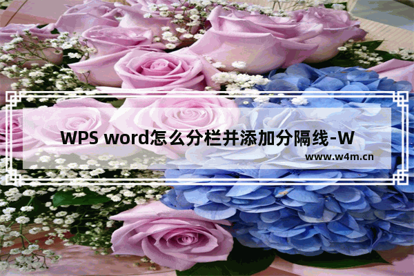 WPS word怎么分栏并添加分隔线-WPS word分栏并添加分隔线的方法