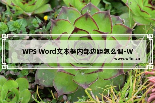 WPS Word文本框内部边距怎么调-WPS Word调整文本框内部文字边距的方法