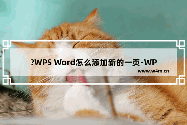 ?WPS Word怎么添加新的一页-WPS文档中增加新的一页的方法教程