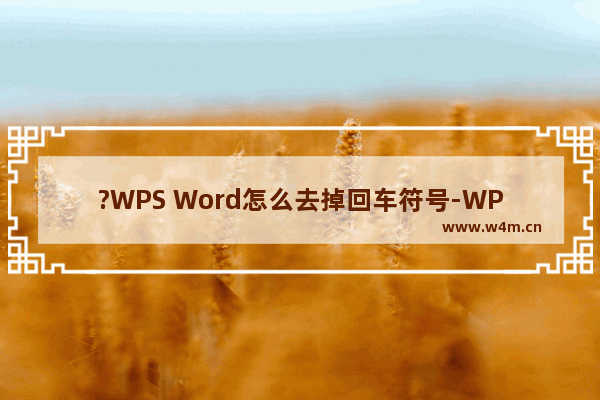 ?WPS Word怎么去掉回车符号-WPS文档隐藏回车符号的方法教程