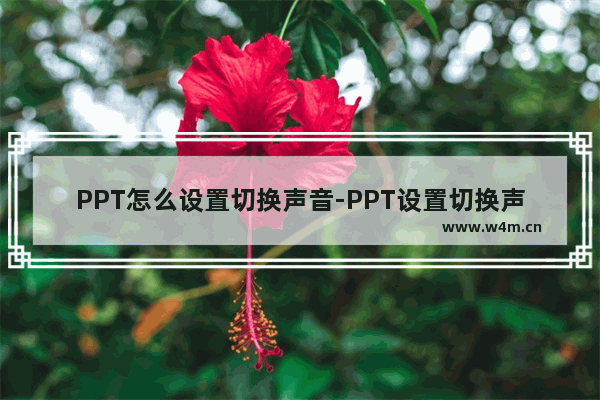 PPT怎么设置切换声音-PPT设置切换声音的方法