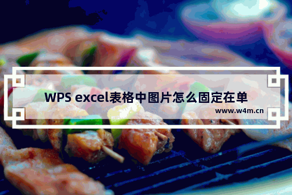 WPS excel表格中图片怎么固定在单元格里-WPS excel将图片固定在单元格里的方法