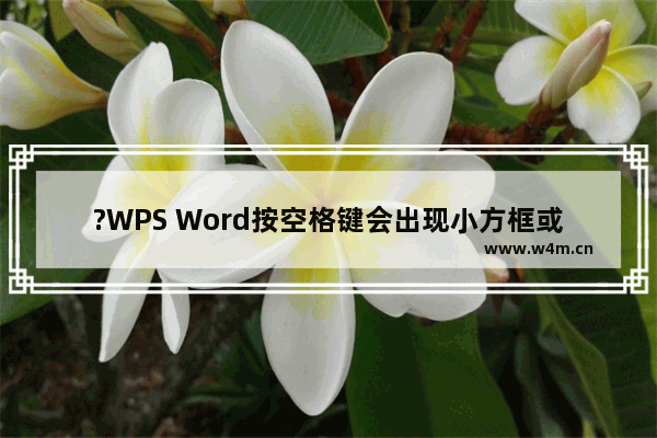 ?WPS Word按空格键会出现小方框或小圆点怎么关闭-WPS文档取消空格出现的圆点或方块的方法教程