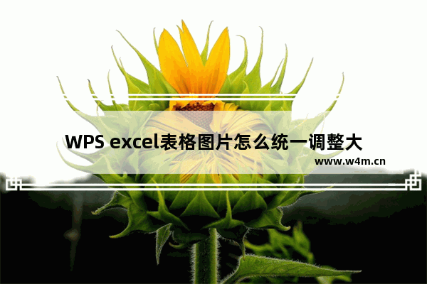 WPS excel表格图片怎么统一调整大小-WPS excel统一修改表格中图片大小的方法