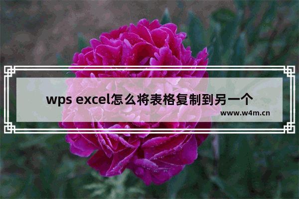 wps excel怎么将表格复制到另一个表格-WPS中将一个Excel的表单复制到另一个Excel中的方法