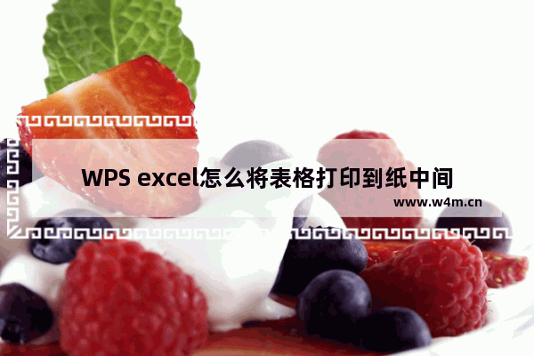 WPS excel怎么将表格打印到纸中间-将WPS Excel表格打印在纸张的正中的方法